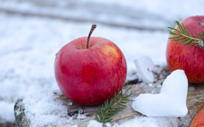 Perché in inverno serve un’alimentazione più attenta: consigli utili e supporto professionale